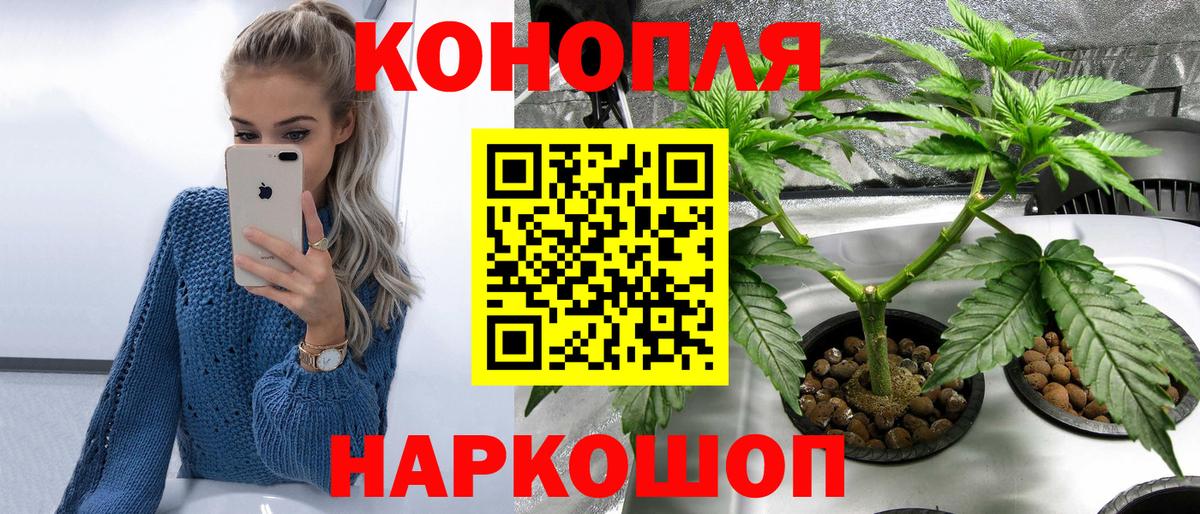 Бошки Шишки план Рославль